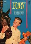 Fury